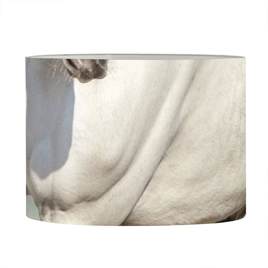 White Stallion Horse Print Drum Lamp Shade