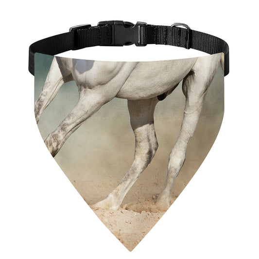 White Stallion Horse Print Over The Collar Dog Bandana