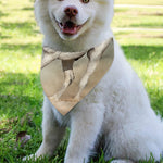 White Stallion Horse Print Over The Collar Dog Bandana