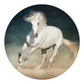 White Stallion Horse Print Round Blanket