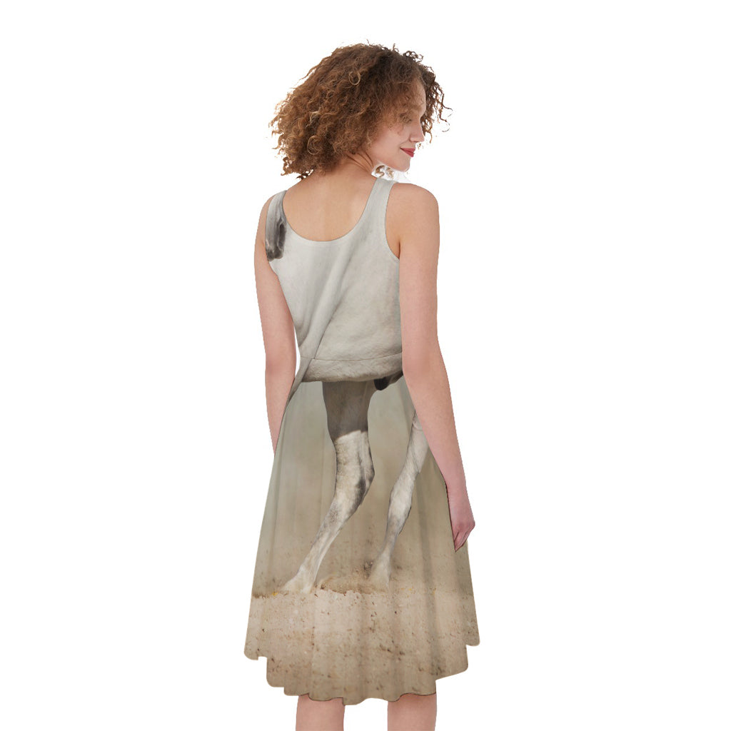 White Stallion Horse Print Women's Sleeveless Dress