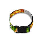White Summer Pineapple Pattern Print Dog Collar