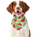 White Summer Watermelon Pattern Print Dog Bandana