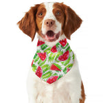 White Summer Watermelon Pattern Print Dog Bandana