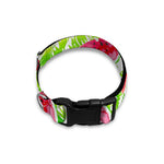 White Summer Watermelon Pattern Print Dog Collar