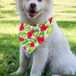 White Summer Watermelon Pattern Print Over The Collar Dog Bandana