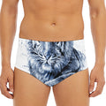 White Tiger Painting Print Men's Triangle Swim Briefs