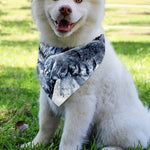 White Tiger Painting Print Over The Collar Dog Bandana
