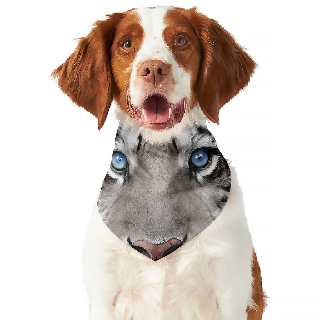 White Tiger Portrait Print Dog Bandana