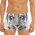 White Tiger Portrait Print Men's Short Boxer Briefs