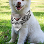 White Tiger Portrait Print Over The Collar Dog Bandana