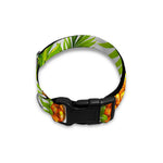 White Tropical Pineapple Pattern Print Dog Collar