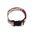White Tropical Watermelon Pattern Print Dog Collar