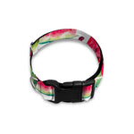 White Tropical Watermelon Pattern Print Dog Collar