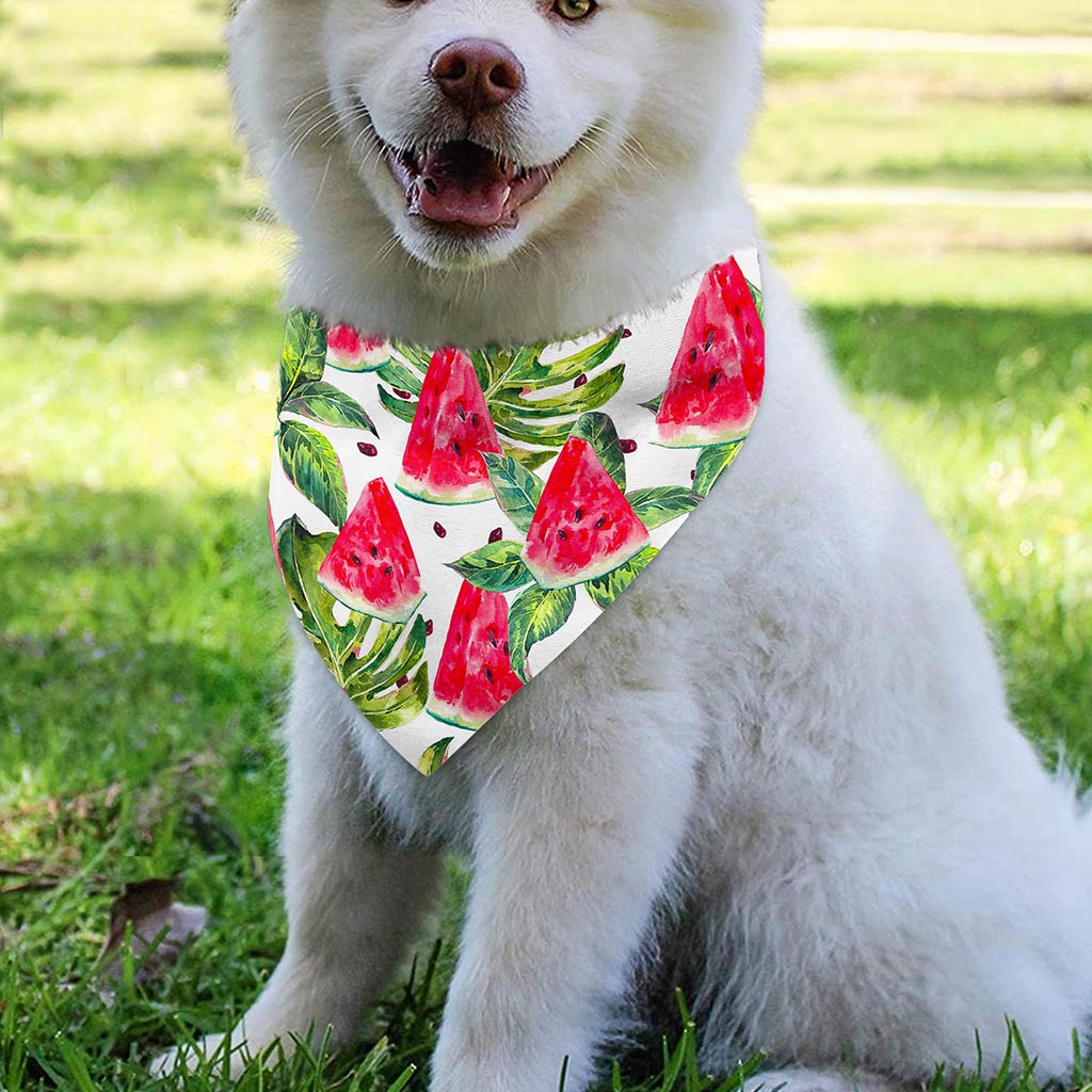 White Tropical Watermelon Pattern Print Over The Collar Dog Bandana