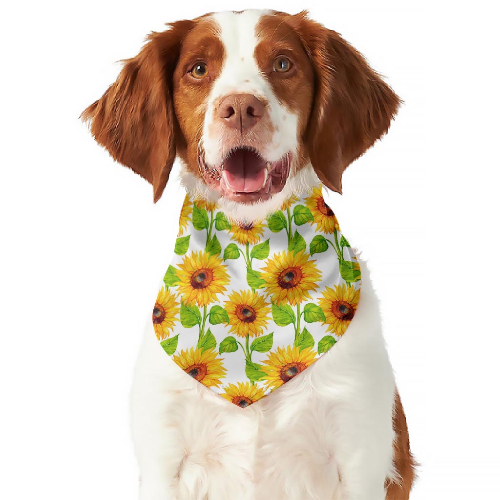 White Watercolor Sunflower Pattern Print Dog Bandana