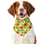 White Watercolor Sunflower Pattern Print Dog Bandana