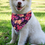 Wild Flower Print Over The Collar Dog Bandana