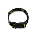 Wild Flowers And Hummingbird Print Dog Collar