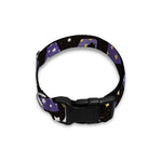 Wizard Hat Pattern Print Dog Collar