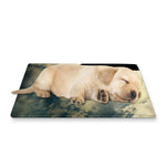 Wolf Howling At The Full Moon Print Pet Cooling Mat Cover