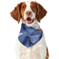 Wrinkled Puerto Rican Flag Print Dog Bandana