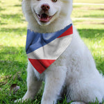 Wrinkled Puerto Rican Flag Print Over The Collar Dog Bandana