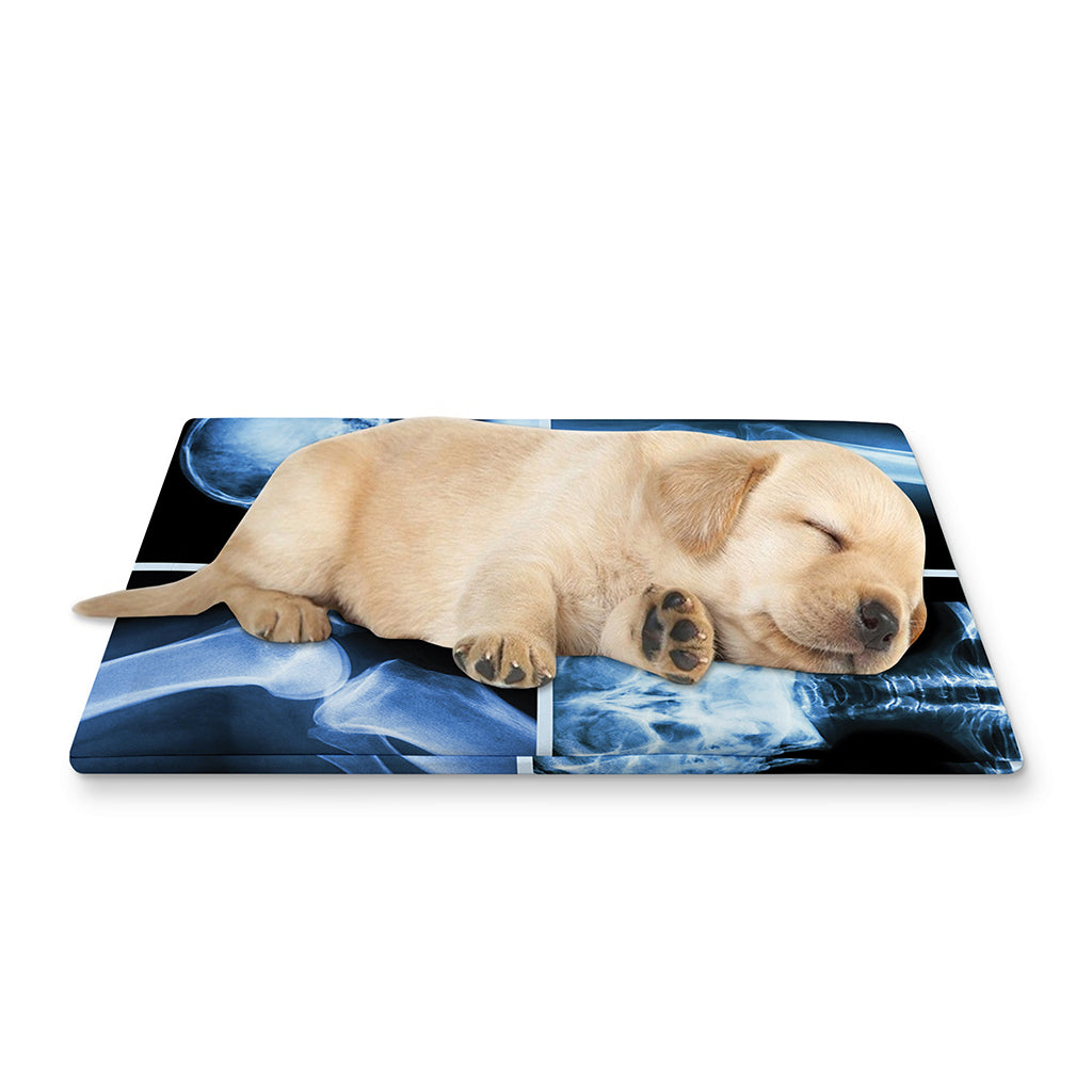 X-Ray Film Radiology Print Pet Cooling Mat Cover
