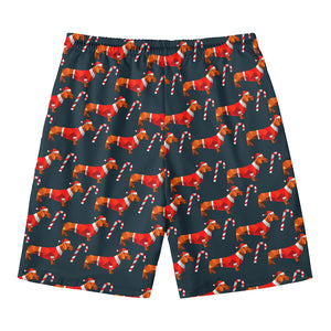 Xmas Dachshund Pattern Print Men's Swim Trunks