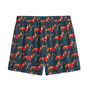 Xmas Dachshund Pattern Print Mesh Shorts