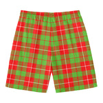 Xmas Plaid Pattern Print Men's Swim Trunks