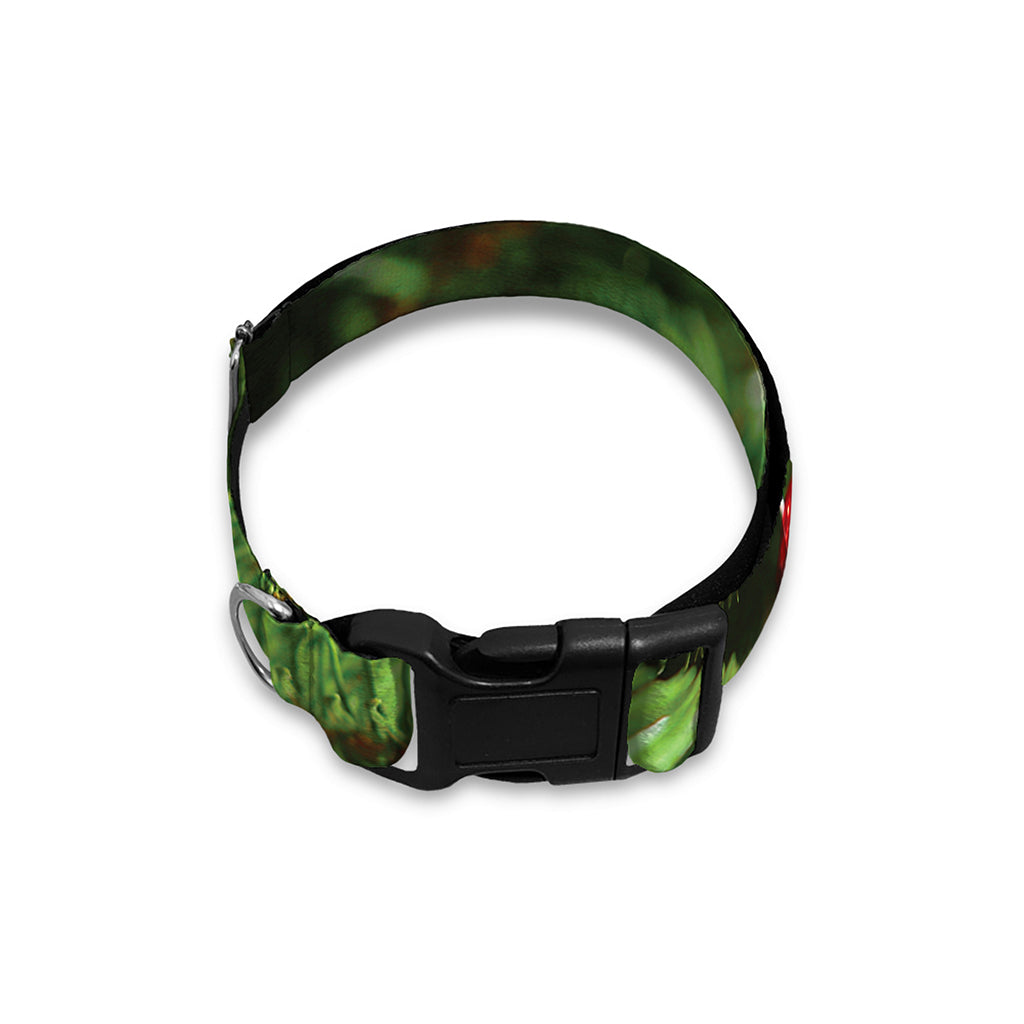 Xmas Tree Print Dog Collar