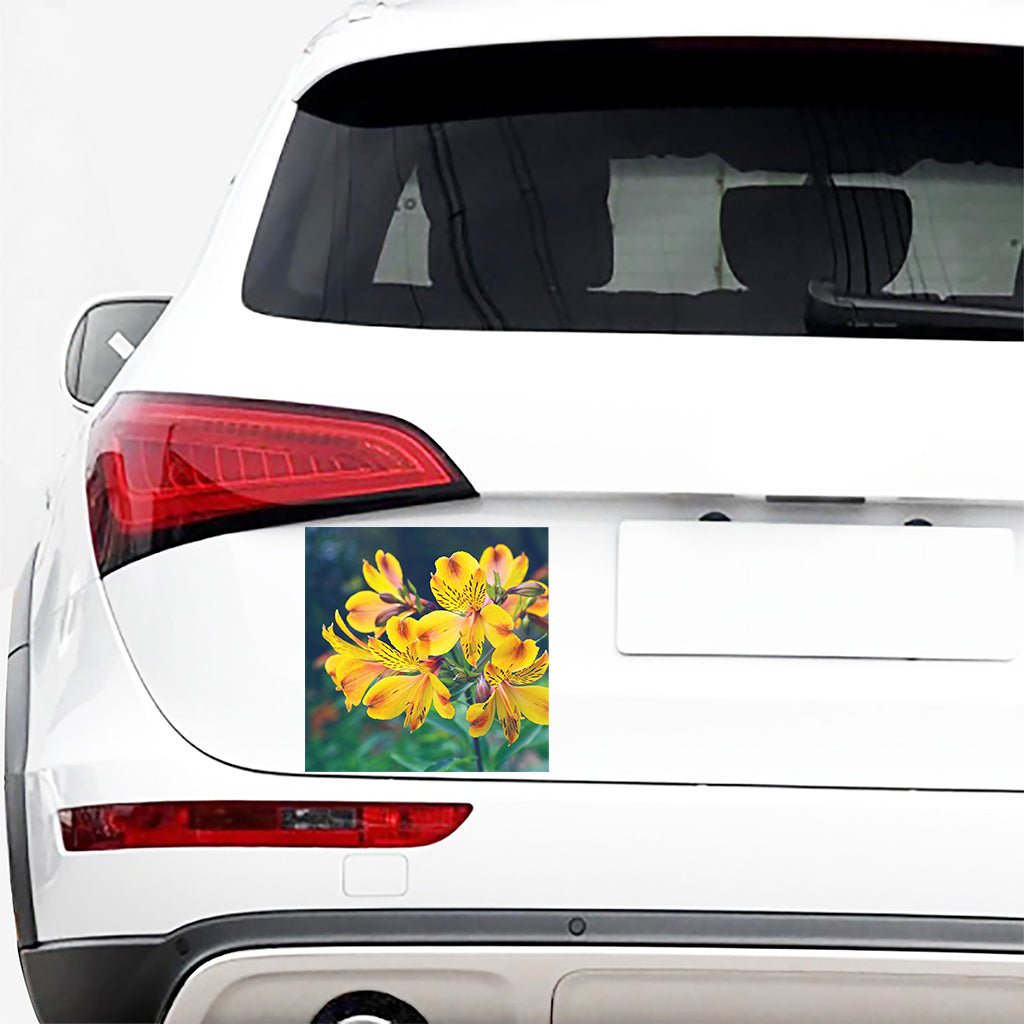 Yellow Alstroemeria Print Car Sticker