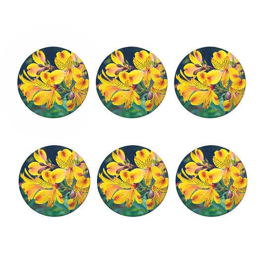 Yellow Alstroemeria Print Coaster Set
