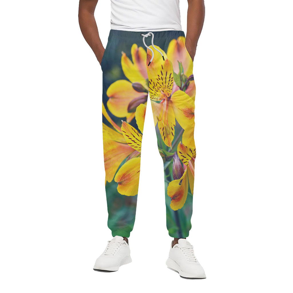 Yellow Alstroemeria Print Cotton Pants