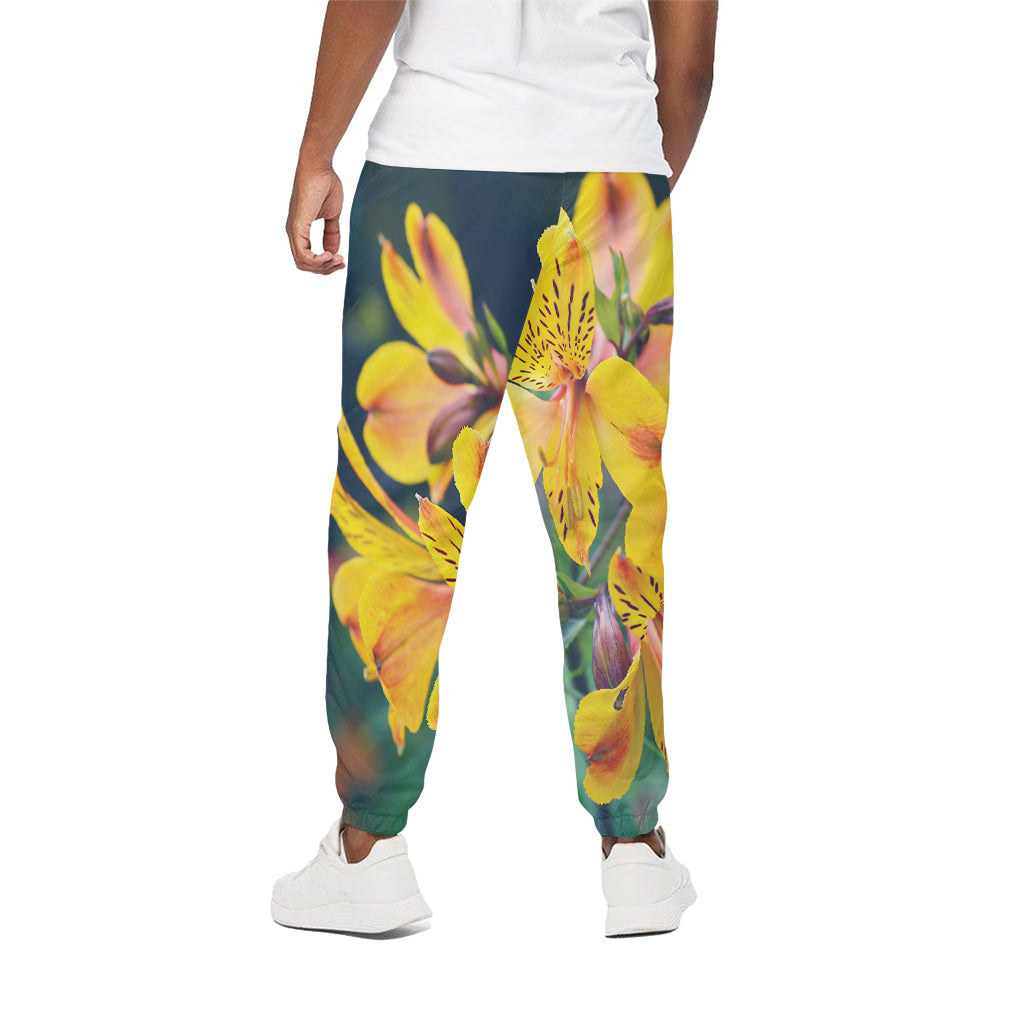Yellow Alstroemeria Print Cotton Pants
