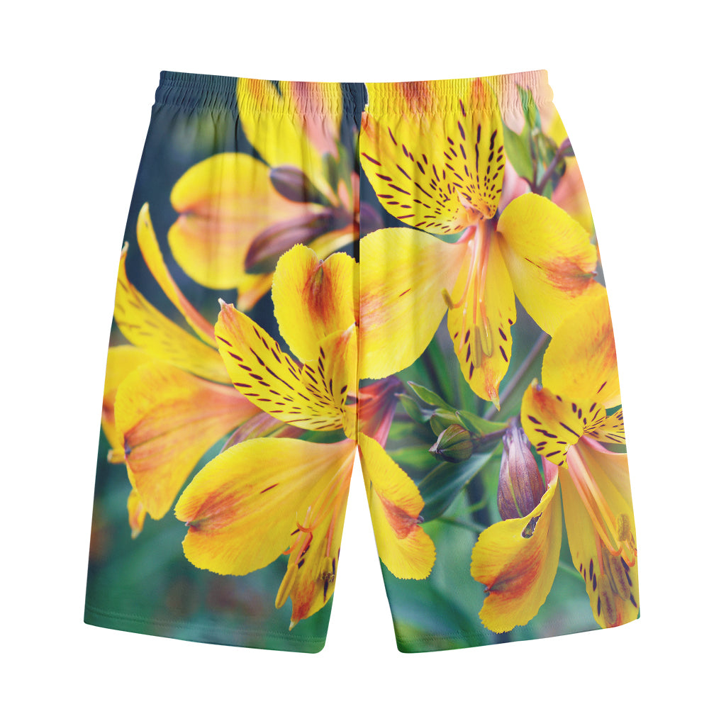 Yellow Alstroemeria Print Cotton Shorts