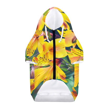 Yellow Alstroemeria Print Dog Zip Up Hoodie