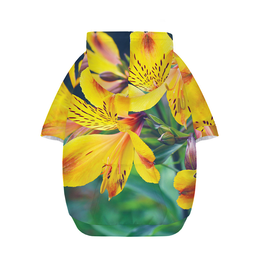 Yellow Alstroemeria Print Dog Zip Up Hoodie