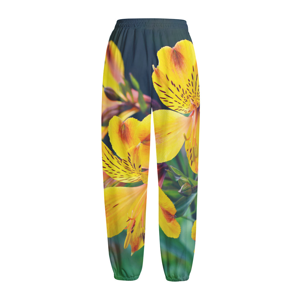 Yellow Alstroemeria Print Fleece Lined Knit Pants