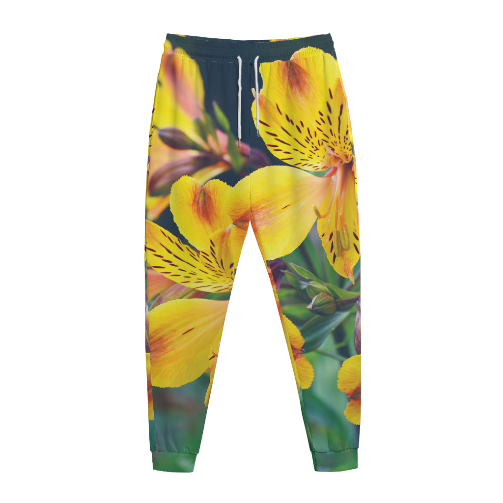 Yellow Alstroemeria Print Jogger Pants