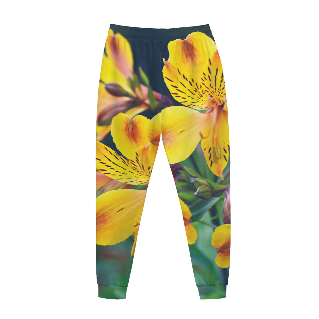Yellow Alstroemeria Print Jogger Pants