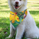 Yellow Alstroemeria Print Over The Collar Dog Bandana