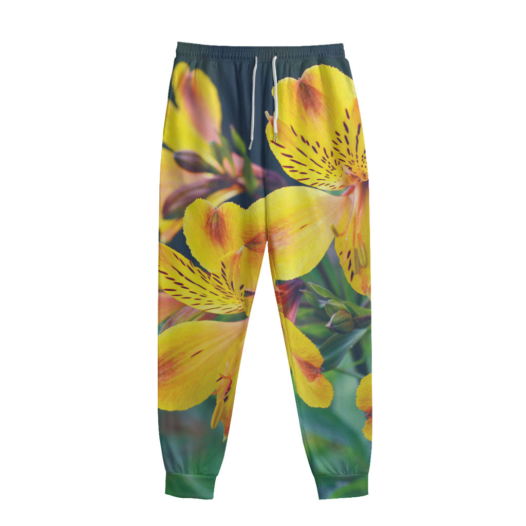 Yellow Alstroemeria Print Sweatpants