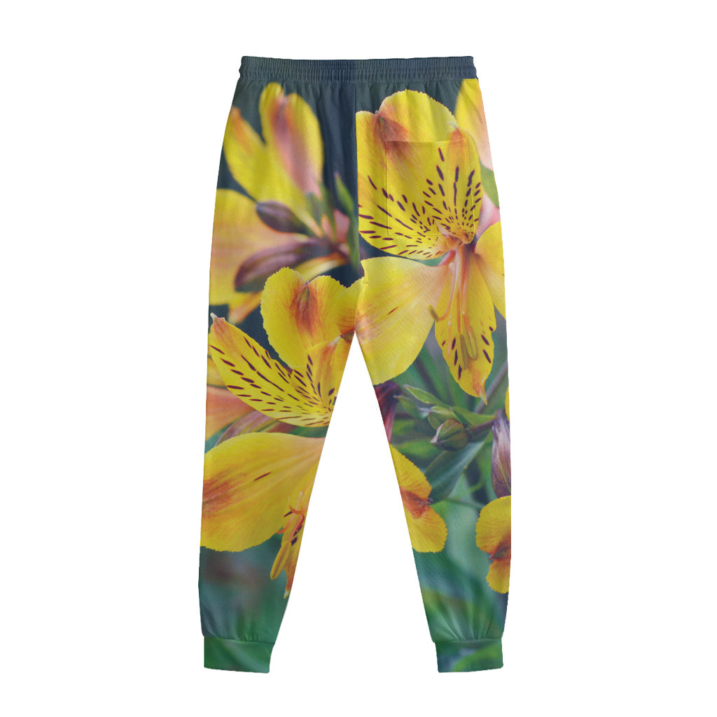 Yellow Alstroemeria Print Sweatpants