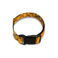 Yellow And Black Snakeskin Print Dog Collar