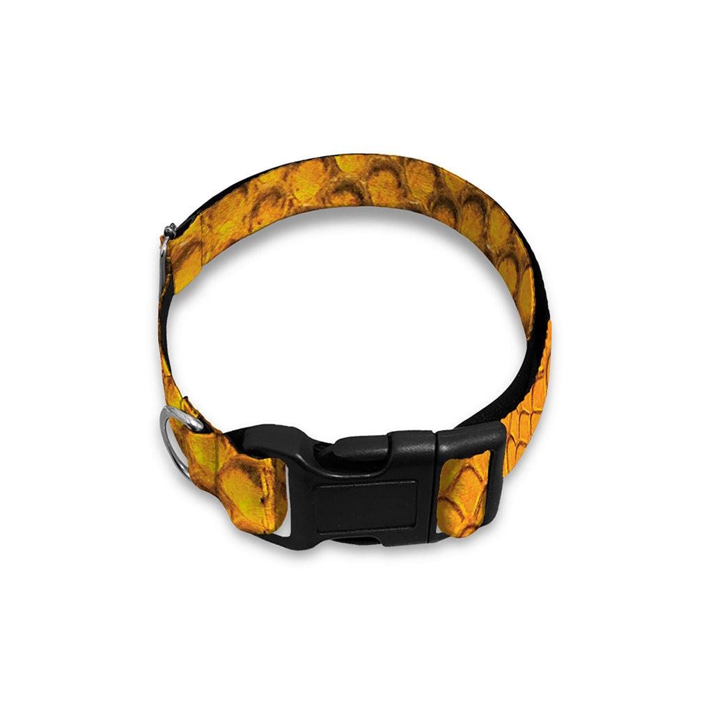 Yellow And Black Snakeskin Print Dog Collar