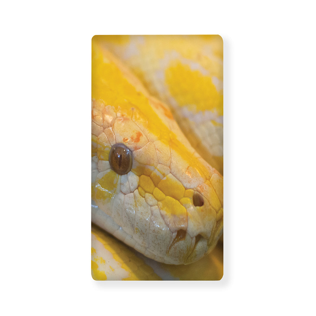 Yellow And White Python Snake Print Baby Crib Sheet