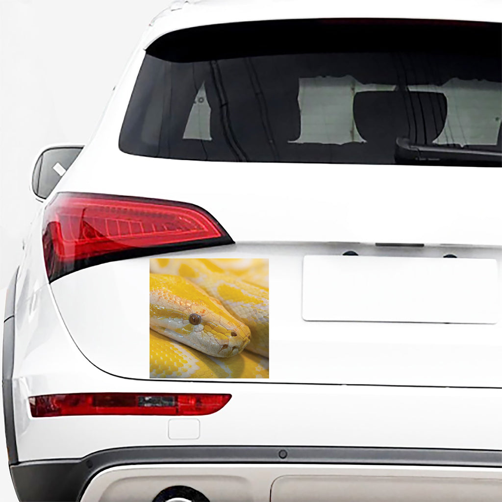 Yellow And White Python Snake Print Car Sticker