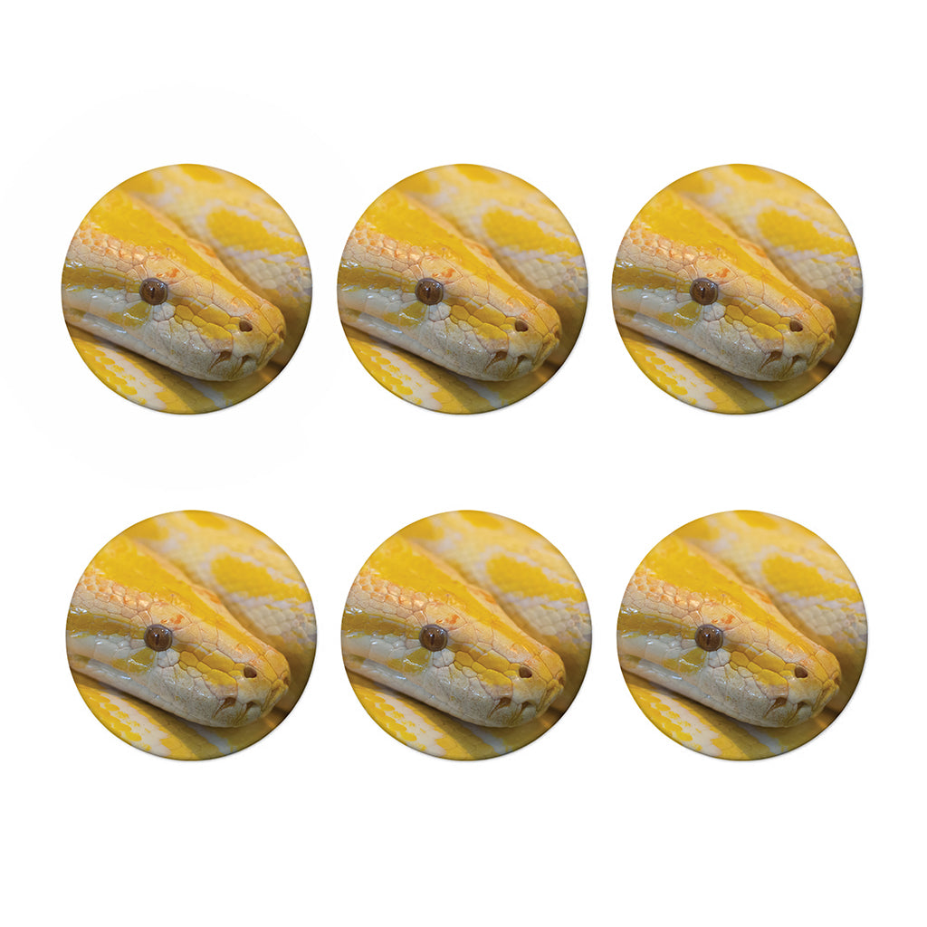 Yellow And White Python Snake Print Coaster Set